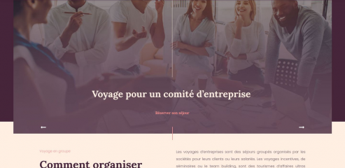 https://www.voyage-entreprise.fr